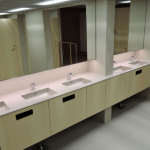 Hanasaari, WC sinktop
